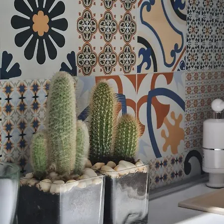 Tam Center Next To Blloku No1 アパート *